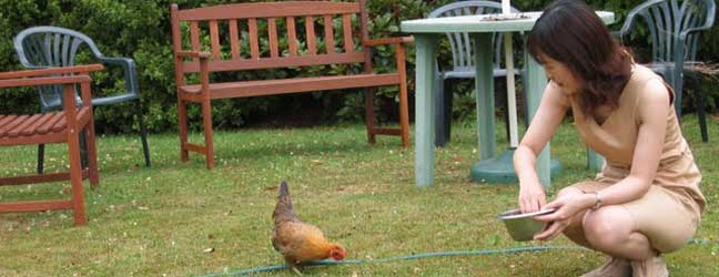 Anglais + Activités à la ferme