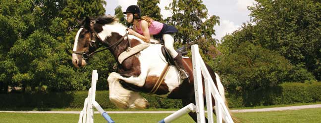 Allemand + Equitation