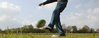Etudier l'Anglais et pratiquer un sport sur campus