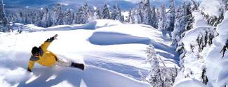 Anglais + Certificat de Moniteur de Snowboard Anglais + Certificat de Moniteur de Snowboard