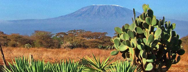 Cours intensif en Afrique du Sud