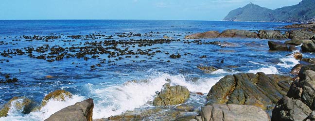 Cours de langues en mini groupe en Afrique du Sud pour lycéen