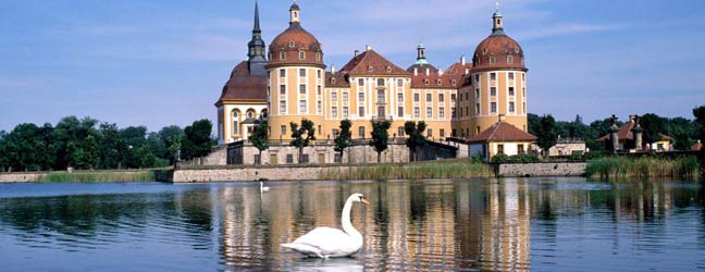 Cours chez le professeur + Tennis en Allemagne pour lycéen