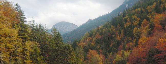 Munich (Région) - Immersion chez le professeur à Munich