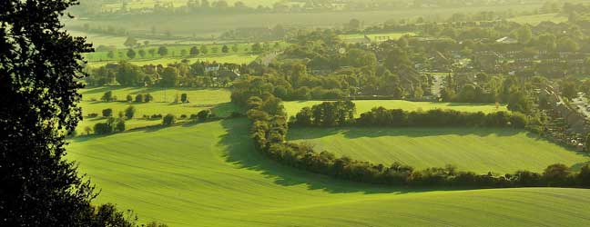 Buckinghamshire - Immersion chez le professeur dans le Buckinghamshire pour un étudiant