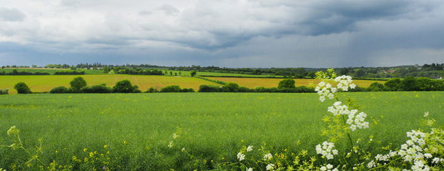 Essex - Immersion chez le professeur dans l'Essex pour un lycéen