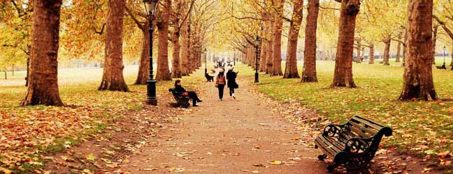 Londres (Région) - Immersion chez le professeur à Londres pour un senior
