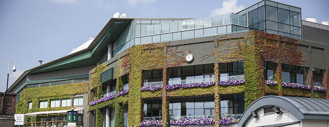 Anglais Général + prépa IELTS (Londres en Angleterre)