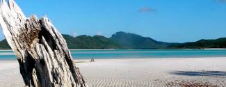 Un semestre intensif à l’étranger en Australie pour adolescent - Langports- Surf Paradise