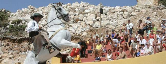 Benalmádena - Séjour linguistique à Benalmádena pour un senior