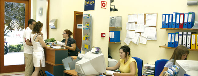 Cours individuels - “One-to-One” (Valence en Espagne)