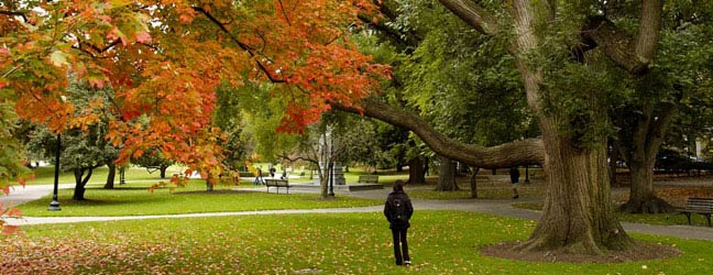 Boston (Région) - Immersion chez le professeur à Boston pour un étudiant