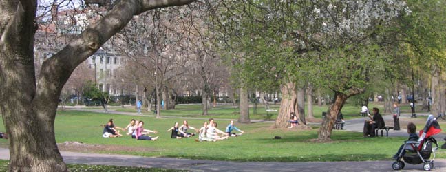 Boston - Ecoles de langues à Boston pour un étudiant