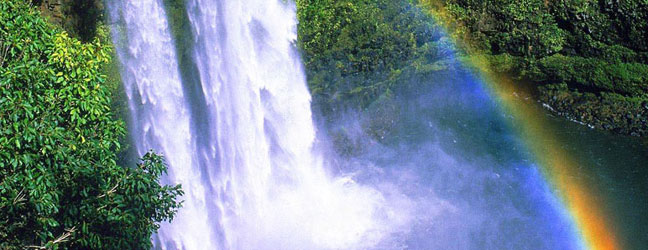 Hawaï - Immersion chez le professeur à Hawaï