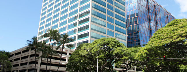 ICC HAWAII pour étudiant (Honolulu aux Etats-Unis)