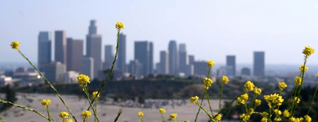 Los Angeles - Séjour linguistique à Los Angeles