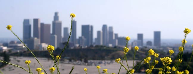 Los Angeles - Voyages linguistiques à Los Angeles pour un lycéen
