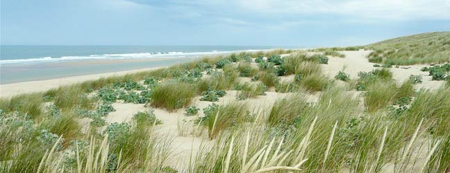 Aquitaine - Immersion chez le professeur en Aquitaine