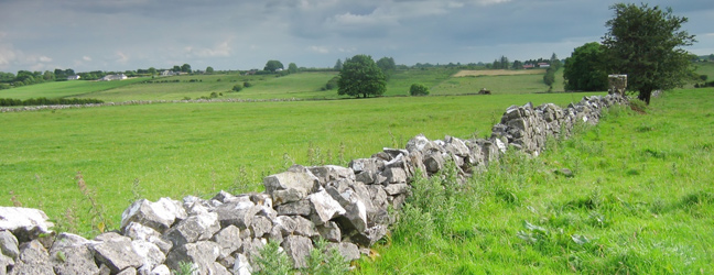 Cours de langues en mini groupe en Irlande