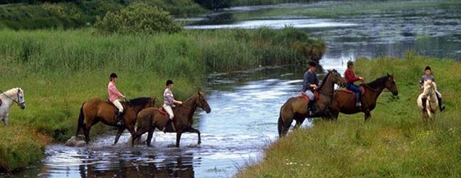 Cours chez le professeur + Equitation en Irlande pour adolescent