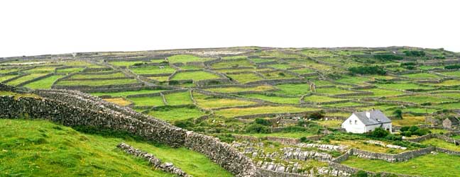 Galway (Région) - Immersion chez le professeur à Galway pour un enfant