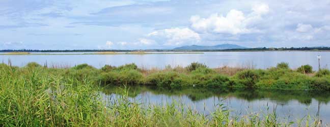 Orbetello - Ecoles de langues à Orbetello pour un adulte