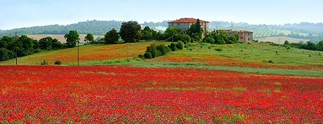 Toscane - Immersion chez le professeur à Toscane pour un enfant