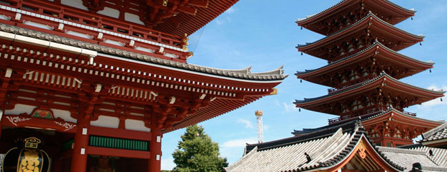 Cours de Japonais au Japon pour un lycéen