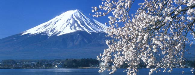 Cours individuels chez le professeur Spécial Cocooning au Japon pour adolescent