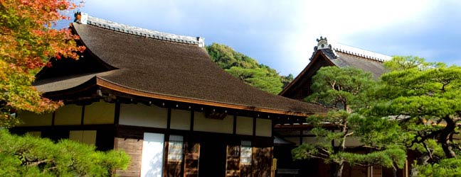 Tokyo (Région) - Immersion chez le professeur à Tokyo pour un adolescent