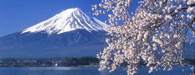 Tokyo (Région) - Immersion chez le professeur à Tokyo pour un senior
