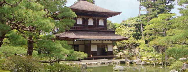 Tokyo (Région) - Immersion chez le professeur à Tokyo pour un étudiant