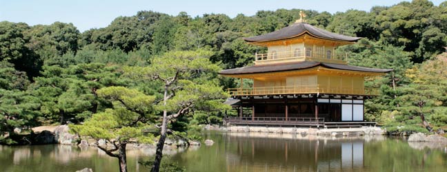 Tokyo (Région) - Immersion chez le professeur à Tokyo pour un adolescent