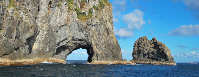 Cours intensif en Nouvelle Zélande