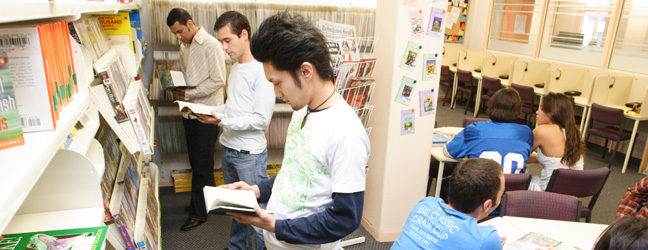 Programme de longue durée - 3 à 5 mois (Auckland en Nouvelle Zélande)