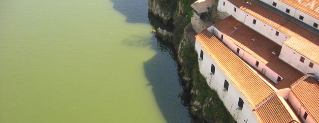 Lisbonne (Région) - Immersion chez le professeur à Lisbonne pour un adolescent